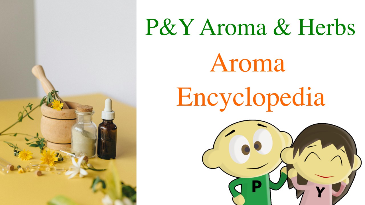 AromaEncyclopedia