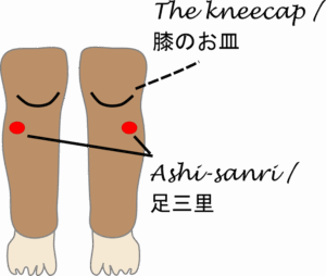 ashisanri