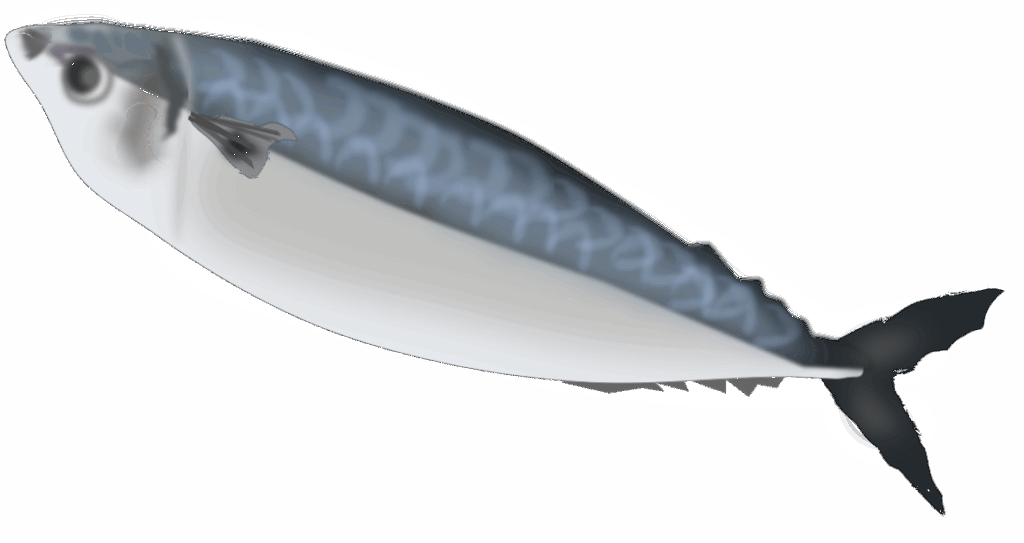 saba