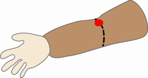 shakutaku